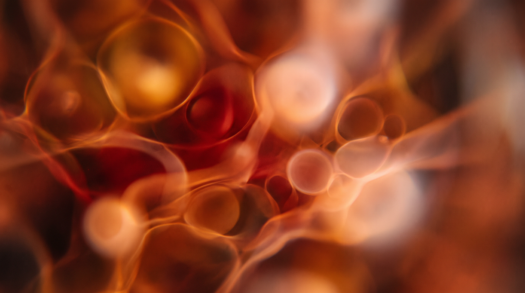 Warm glowing abstract close up representing cellular energy